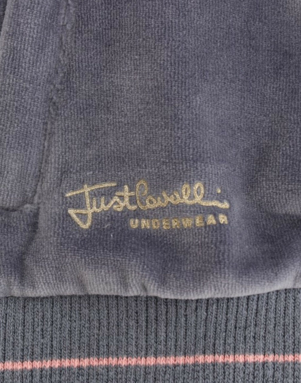 Cavalli Blue velvet zipup sweater